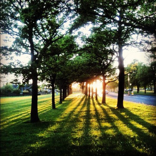 lightsplintered's profile picture. I take a lot of photos. I run, jump, climb, bike... fly! 
I have my own soundtrack. I like food.