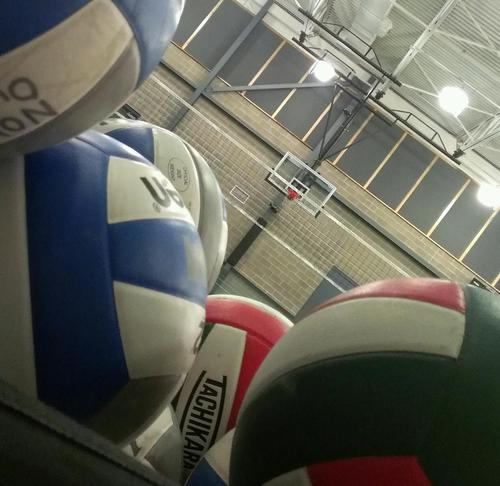 vbcoachlife's profile picture. the life of a volleyball coach