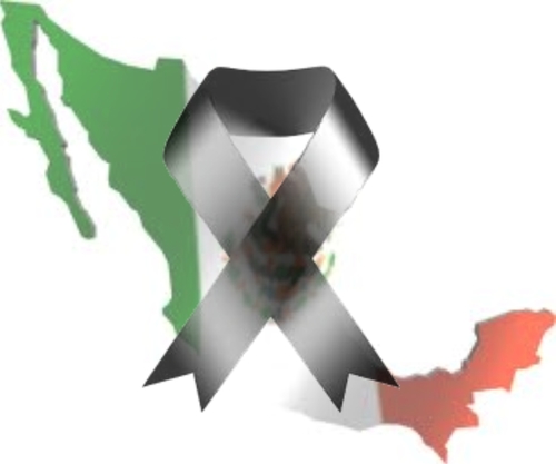 pache12330244's profile picture. 