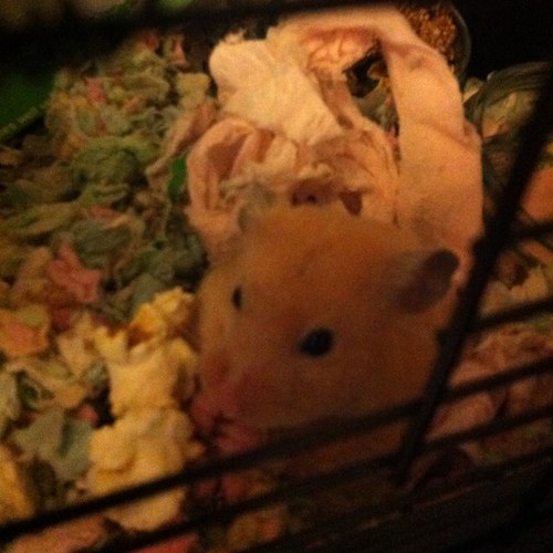 txbetzxz1's profile picture. 