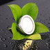 CanterraLEDLighting (@canterraled) Twitter profile photo
