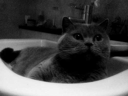 majs2000's profile picture. 