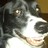 RonDe's profile image