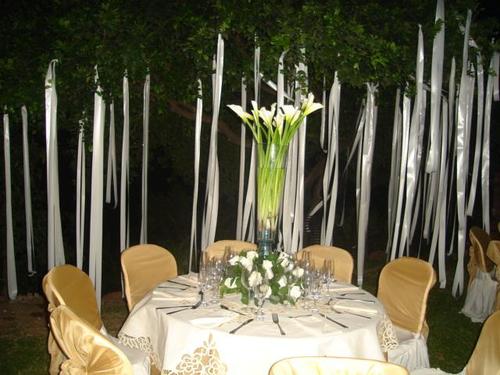 organizamos sus eventos sociales, matrimonios, quince años, grados, empresariales, sientace un invitado mas en su evento. ofrecemos calidad y cumplimiento.