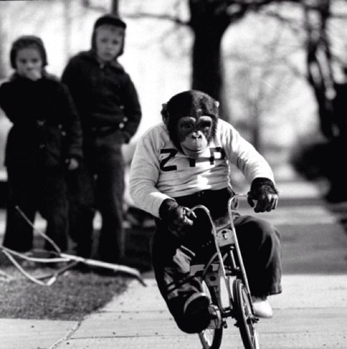 elektrikoolaide's profile picture. 