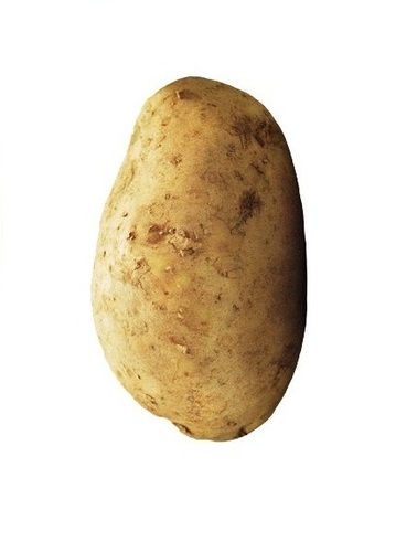 (OFFICIAL)Yes, i am a potato