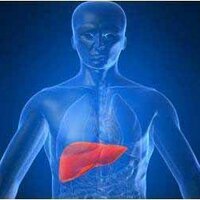 SVUH Liver Unit (@svuhliverunit) 's Twitter Profile