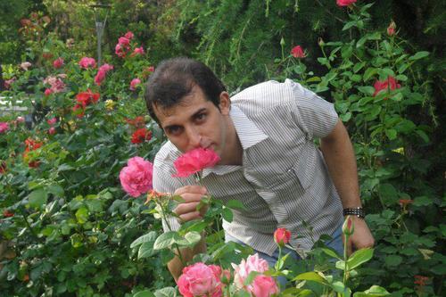 yarmohamadi's profile picture. 