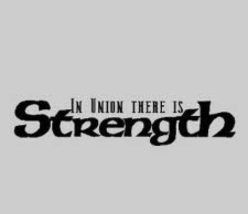 dashans02's profile picture. 