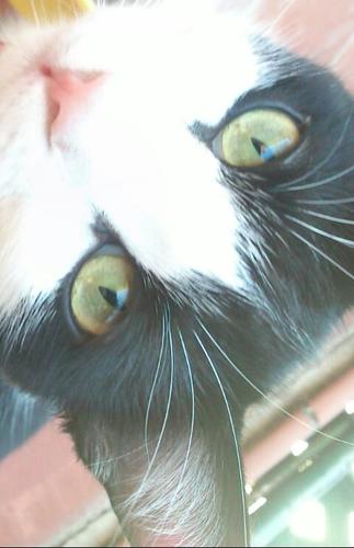 mireiaromo's profile picture. Esa gente que arde, arde y arde, como bengalas en mitad de la noche. Esa gente.