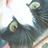 mireia romo (@mireiaromo) Twitter profile photo