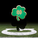 Michelle Dooley - @MichelleDooley8 - Twitter