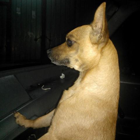 rubenexcava's profile picture. 