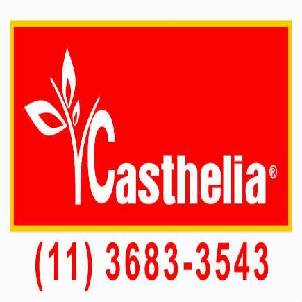 castheliainfor's profile picture. Casthelia atuando no mercado com dedicação e respeito que são princípios básicos de relacionamentos, buscando qualidade sempre.