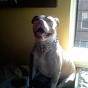 Joseph Kadlec - @josephkadlec - Twitter