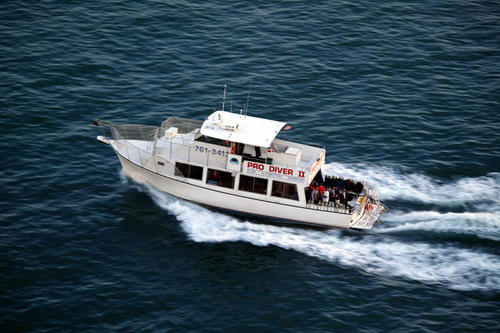 ProDiveUSA's profile picture. 15 Dive Charters per week...  Full service dive shop... Careers with a Deeper Purpose!