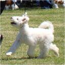 Ginger Butler - @gotpumi - Twitter