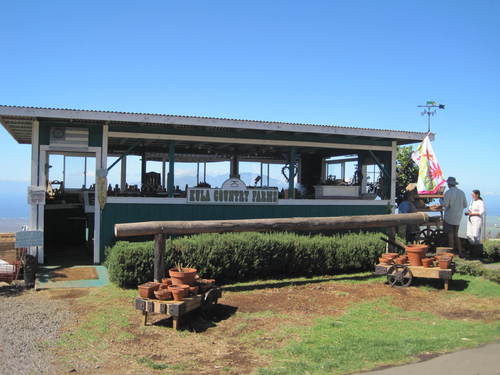 KulaCountryFarm's profile picture. 