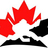 teamgoalie's profile image
