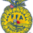 BCFFA's profile image