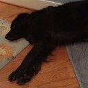 Matthew Meyer - @WakeMeyer - Twitter