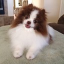 tam - @TammySenter - Twitter