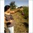 Virginiaa220's profile image