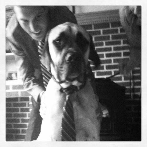 evandec1's profile picture. 