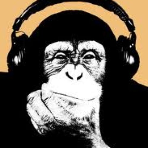 monkymonazo's profile picture. 