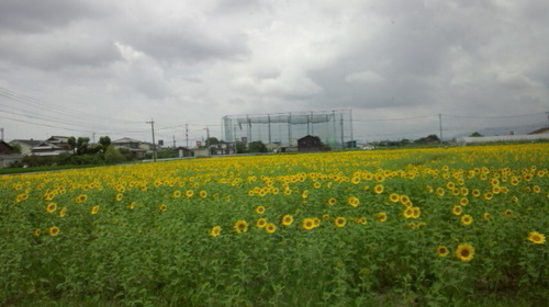 29_jonh's profile picture. 