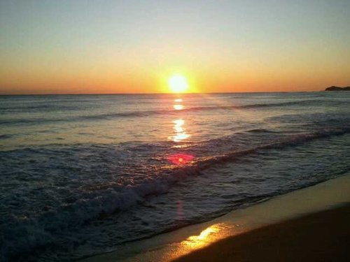 shreka1's profile picture. 