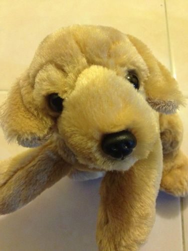 rodrigohoy's profile picture. 