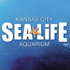 Dive into awesome discoveries! 
Website: https://t.co/X1am8taUzq
Facebook: https://t.co/Iku30kGxpO Instagram: @sealifekc