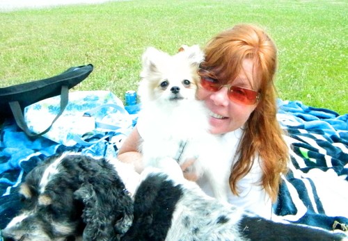 DensRobbieGirl's profile picture. Grandma, Owned by a Pomeranian, love to hunt ghosts