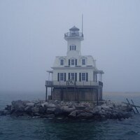 Diane (@buglight) 's Twitter Profile