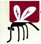 East Coast Locals
Are the proud distributors of THE LOCALS SANDFLY and MOZZIE STUFF in Eastern Australia