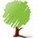 Demystifying Forestry Investments: a resource for the tree investor