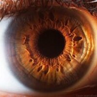 Gilliam (@gilsmusic) 's Twitter Profile