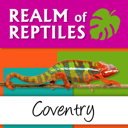 Realm of Reptiles CV