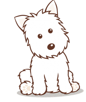 AtooDog's profile picture. 8.000 #accessoires pour votre #chien : prix mini, livraison rapide et qualité du service !  #animaux