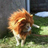 jayfreedom666's profile image