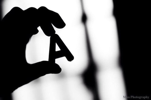 mshor2006's profile picture. 