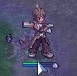 I play Ragnarok Online in Valkyrie Server.