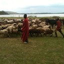 caleb marvin - @calebmarvi - Twitter