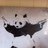 FunkyPesto67's profile image