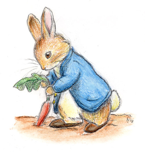 Task Rabbit