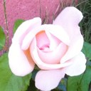 Wendy-07 - @WendyREGNIER - Twitter