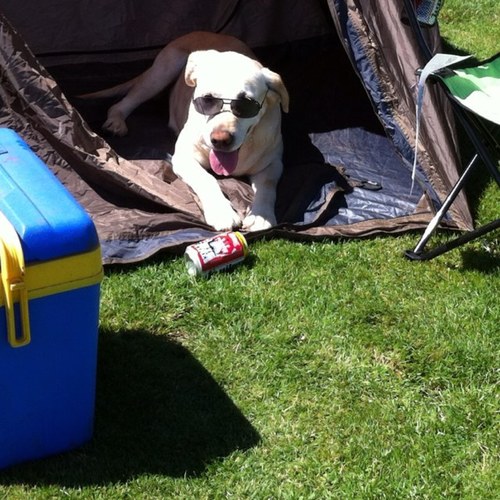 Rgertjan's profile picture. 