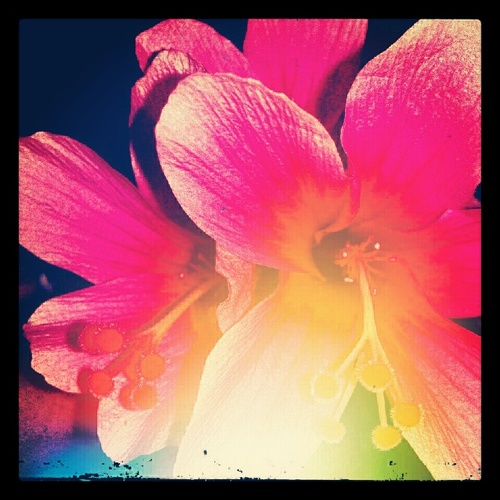 all_randomquote's profile picture. Just Random Quotes #ifollowback #teamfollowback #followme #shoutout