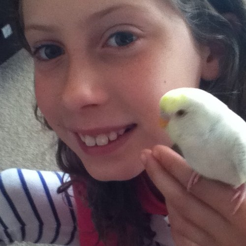 bellagoodrem's profile picture. 